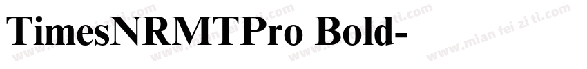TimesNRMTPro Bold字体转换